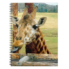 Die Giraffe, die es haftet, ist Zunge-heraus Notizblock