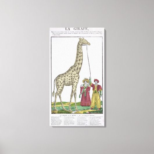 Die Giraffe für den König Leinwanddruck (Vorderseite)