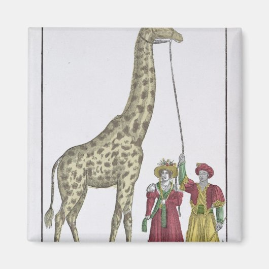 Die Giraffe für den König Magnet (Vorne)