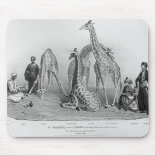 Die Giraffen mit den Arabern Mousepad