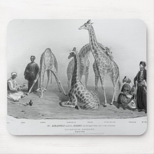 Die Giraffen mit den Arabern Mousepad (Vorne)