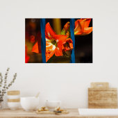 Die Gitterlilie-Blumenfotografie Poster (Küche)