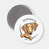 Die glatte rote Dackel ist alles über mich Magnet (Vorderseite/Rückseite)