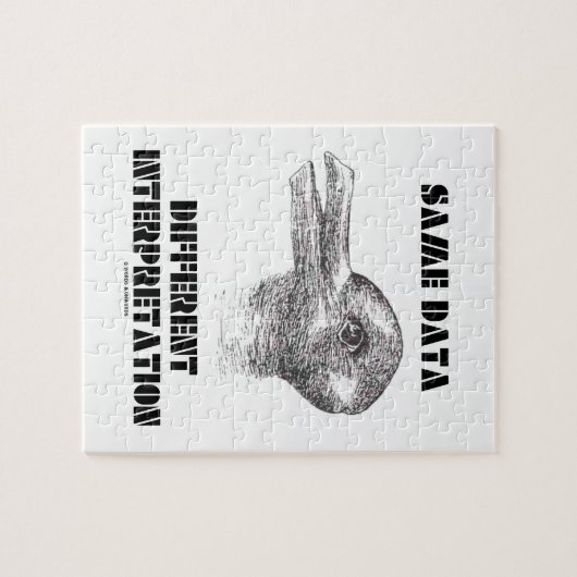 Die gleiche Daten-unterschiedliche Interpretation Puzzle (Horizontal)