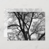 Die Glieder der Natur Postkarte (Vorne/Hinten)