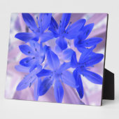 Die Glorie der schneebedeckenden blauen Plaque Fotoplatte (Seite)