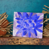 Die Glorie der schneebedeckenden blauen Plaque Fotoplatte (Seite)