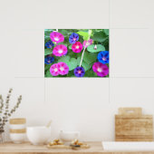 DIE GLORY DER MORGENGLORY POSTER (Küche)