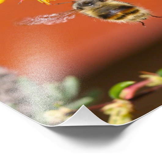 Die glückliche Hummel Fotodruck (Ecke)