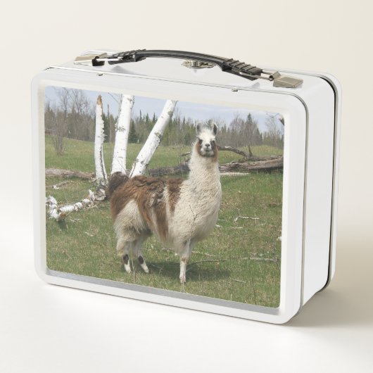 DIE GLÜCKLICHE LLAMA METALL BROTDOSE (Rückseite)