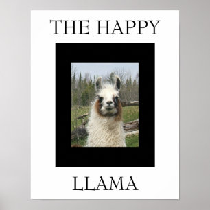 DIE GLÜCKLICHE LLAMA POSTER
