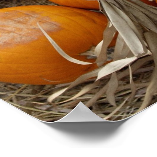 Die glückliche Scarecrow Poster (Ecke)