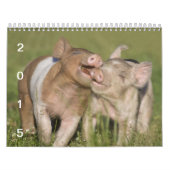 Die glücklichen Ferkel 2015 - niedlicher Kalender (Titelbild)