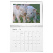 Die glücklichen Ferkel 2015 - niedlicher Kalender (Feb 2027)