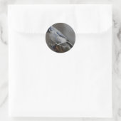Die Gnade der gefiederten Titmaus Runder Aufkleber (Tasche)