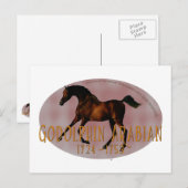 Die Godolphin Arabian Postkarte (Vorne/Hinten)