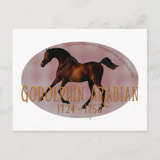 Die Godolphin Arabian Postkarte (Vorderseite)
