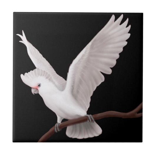 Die Goffins Cockatoo-Papageien-Fliese Fliese (Vorderseite)