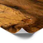 Die Golden Gate Bridge | Bäume aus Übersichtsansic Poster (Ecke)