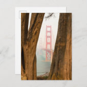 Die Golden Gate Bridge | Bäume aus Übersichtsansic Postkarte (Vorne/Hinten)