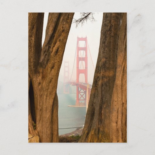 Die Golden Gate Bridge | Bäume aus Übersichtsansic Postkarte (Vorderseite)