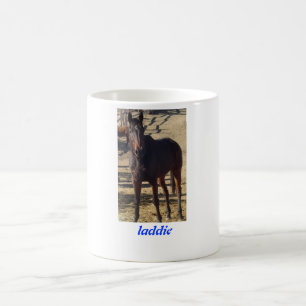 Die goldene Karotten-Tasse "Junge " Verwandlungstasse