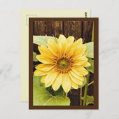 Die Goldene Sonnenblume Postkarte (Vorne/Hinten)