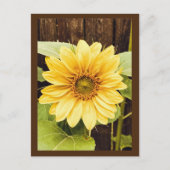 Die Goldene Sonnenblume Postkarte (Vorderseite)