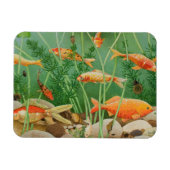 Die Goldene Touch 2011 Magnet (Horizontal)