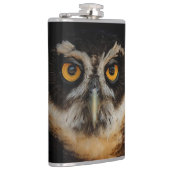 Die goldenen Augen eines spektakulären Eule Flachmann (Rechts)