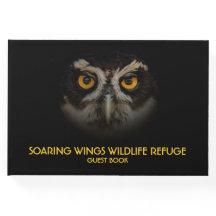 Die goldenen Augen eines spektakulären Eule