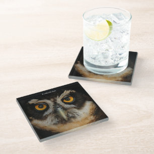 Die goldenen Augen eines spektakulären Eule Glasuntersetzer