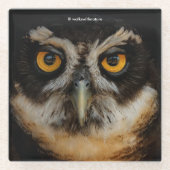 Die goldenen Augen eines spektakulären Eule Glasuntersetzer (Vorderseite)