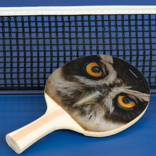 Die goldenen Augen eines spektakulären Eule Tischtennis Schläger