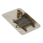 Die Goldfinch Magnet (Rechte Seite)