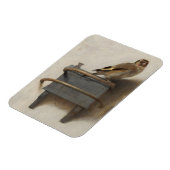 Die Goldfinch Magnet (Linke Seite)