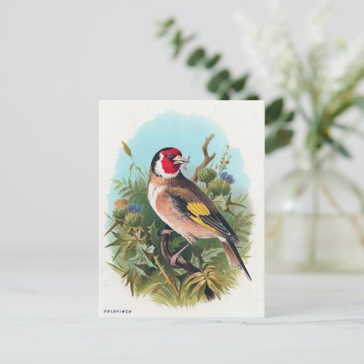 Die Goldfinch Postkarte (Stehend Vorderseite)