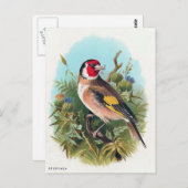 Die Goldfinch Postkarte (Vorne/Hinten)