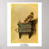 Die Goldfinch. von Carel Fabritius Poster (Vorne)