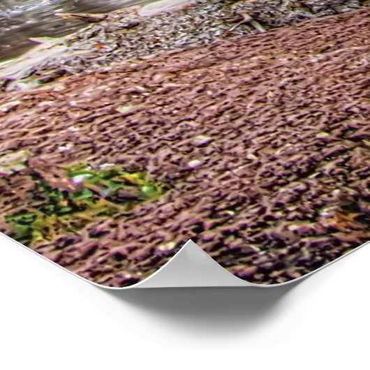 Die Gooseberiefälle Poster (Ecke)