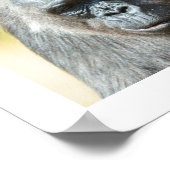 Die Gorilla-Truppe Poster (Ecke)