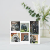 Die Gorilla-Truppe Postkarte (Stehend Vorderseite)