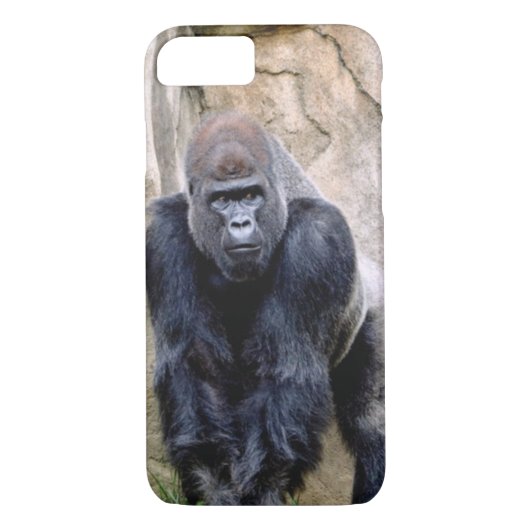 Die Gorillas gerettet Case-Mate iPhone Hülle (Rückseite)