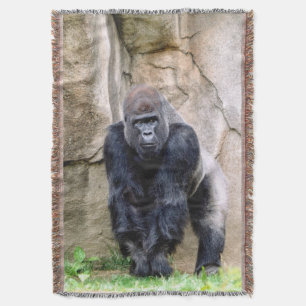 Die Gorillas gerettet Decke