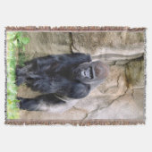 Die Gorillas gerettet Decke (Vorderseite)