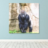 Die Gorillas gerettet Leinwanddruck (Insitu (Holzboden))
