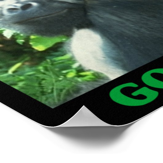 Die Gorillas gerettet Poster (Ecke)