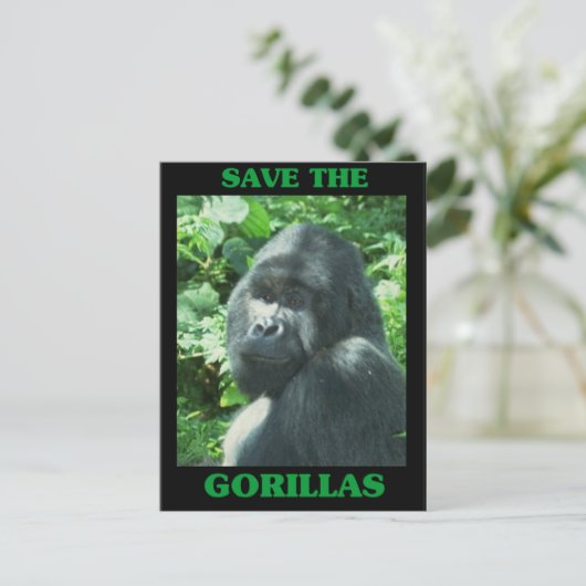 Die Gorillas gerettet Postkarte (Stehend Vorderseite)