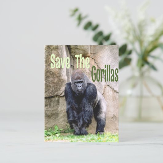 Die Gorillas gerettet Postkarte (Stehend Vorderseite)
