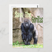 Die Gorillas gerettet Postkarte (Vorne/Hinten)